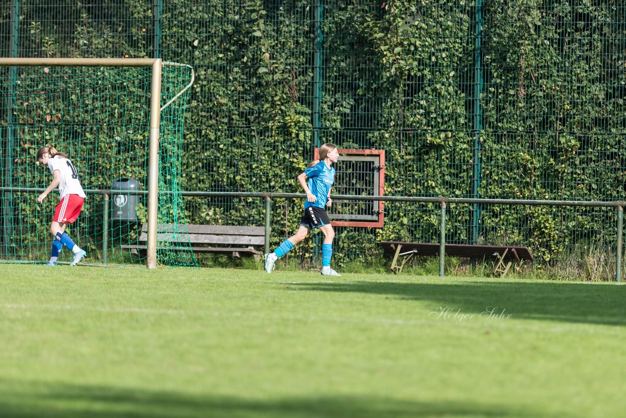 Bild 115 - wBJ VfL Pinneberg - Hamburger SV 2 : Ergebnis: 1:3